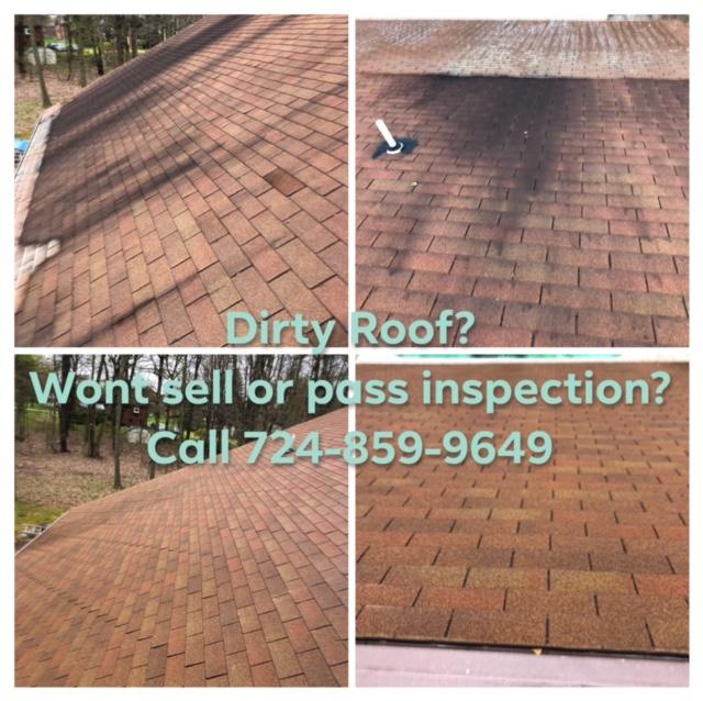 roof cleaning