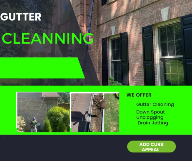 Gutter Cleaning